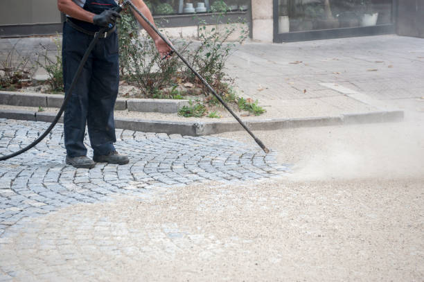 Trusted Newark, NY Pressure Washing Services Experts